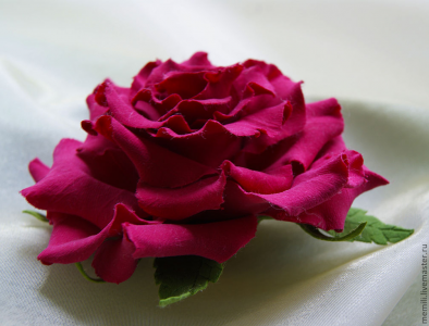 красная роза Эстелла
